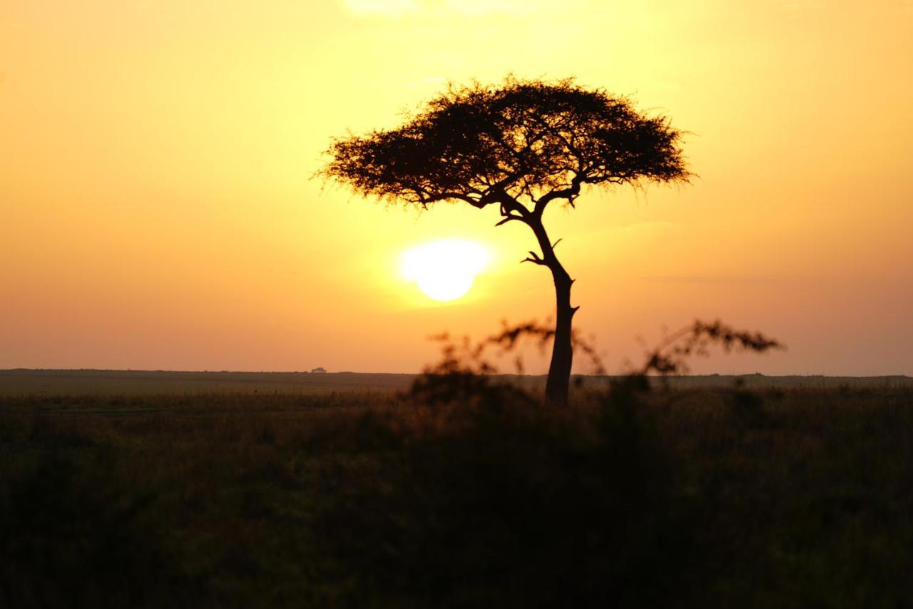 Anantya Serengeti Dış mekan fotoğraf