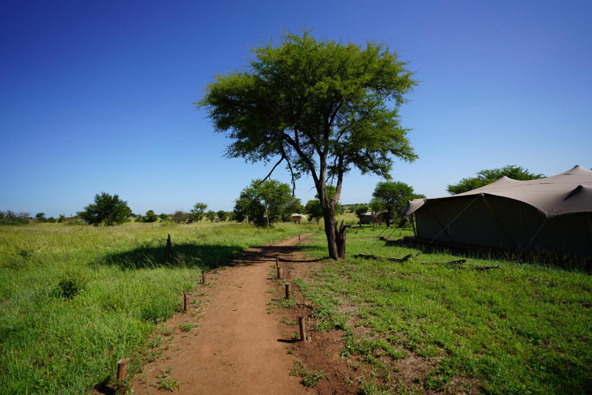 Anantya Serengeti Dış mekan fotoğraf
