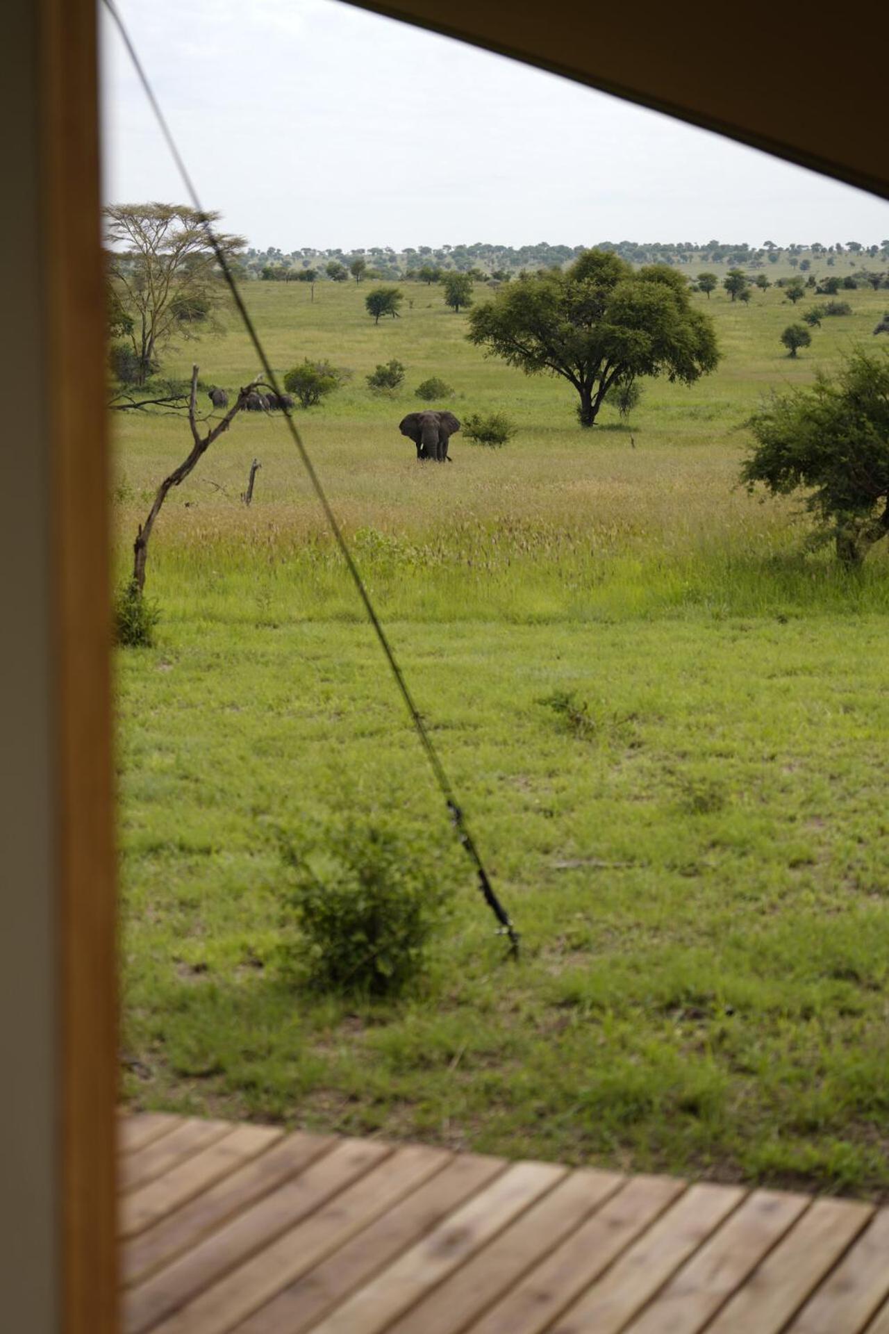 Anantya Serengeti Dış mekan fotoğraf