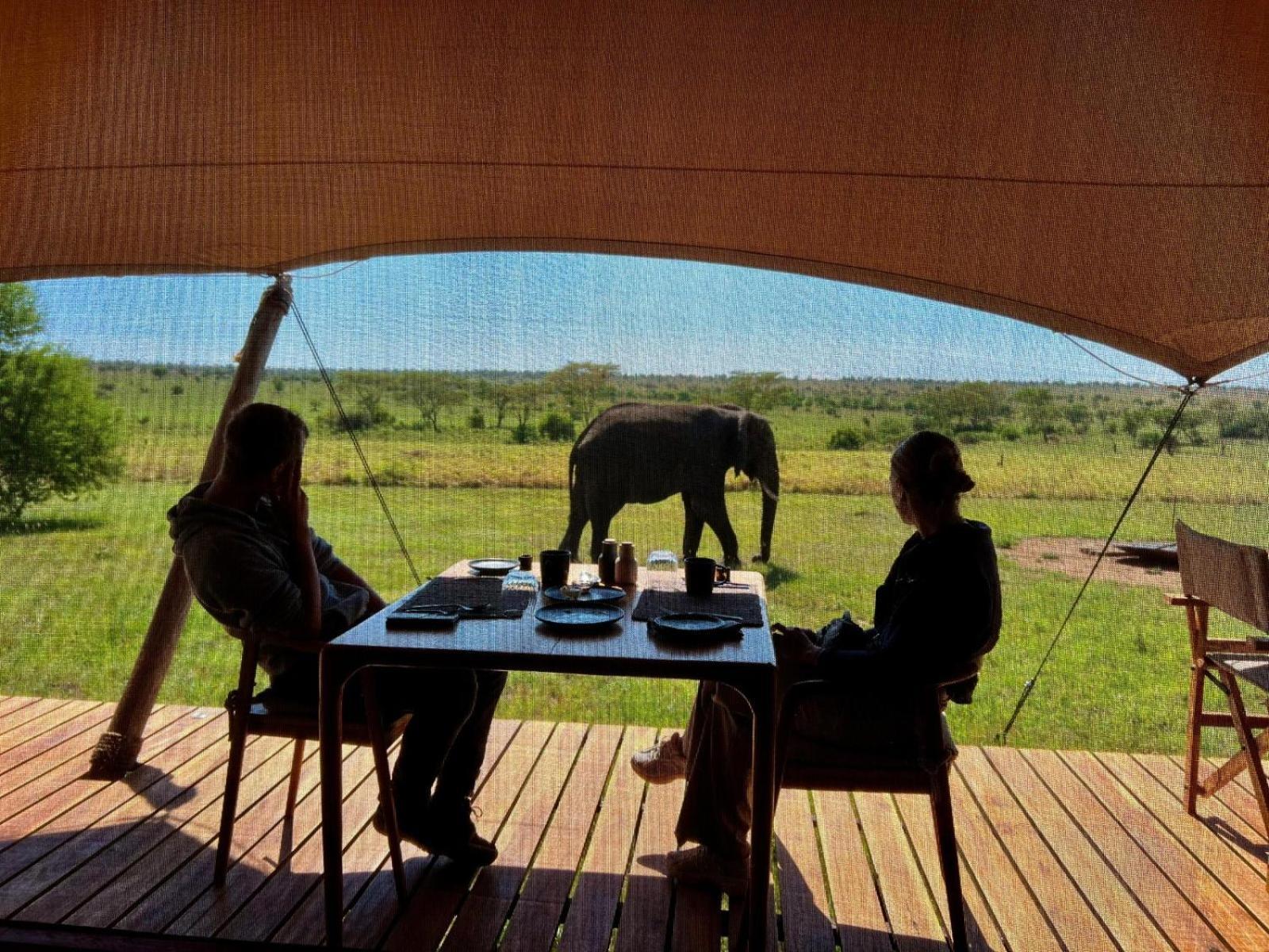 Anantya Serengeti Dış mekan fotoğraf